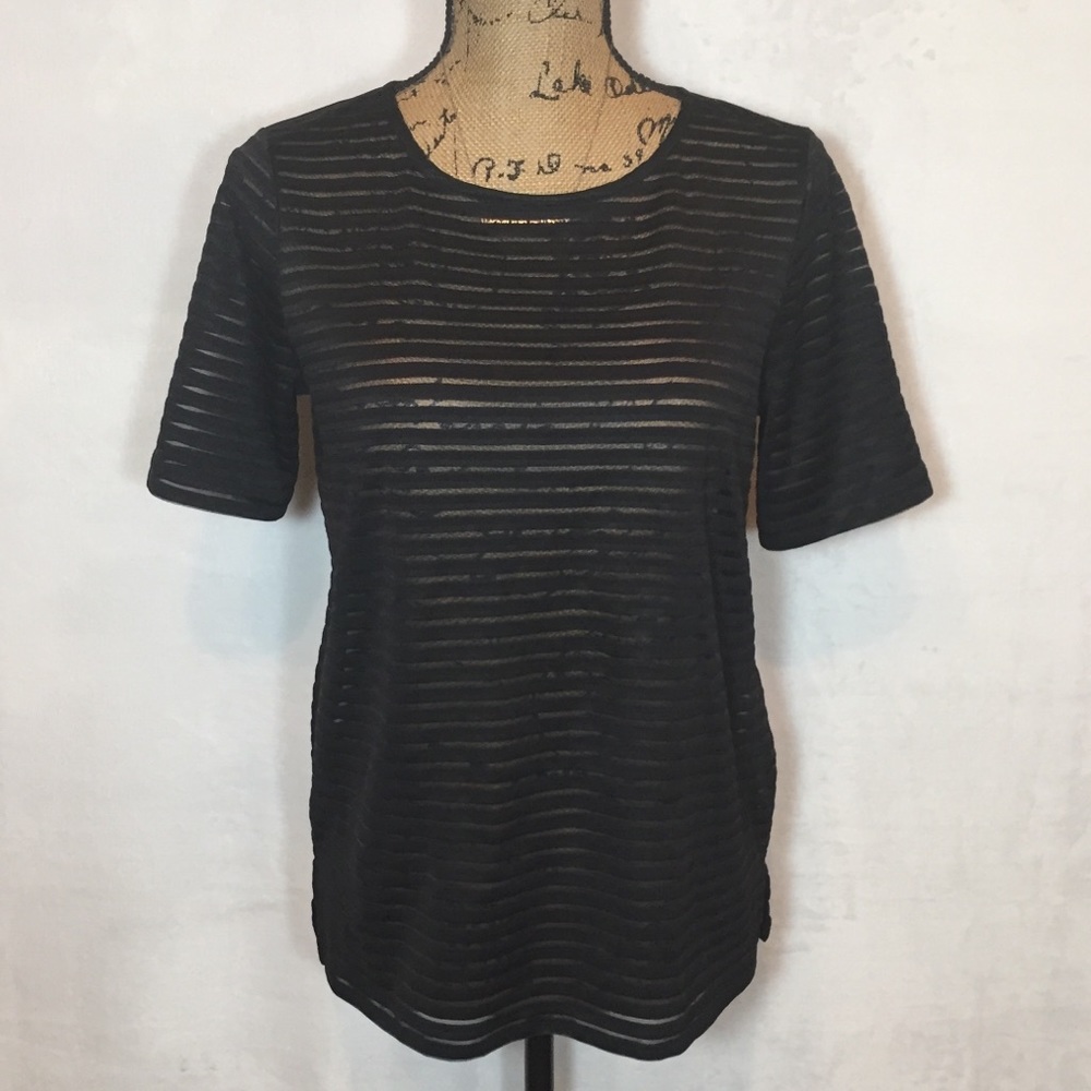 Sheer Stripe Short Sleeve Tee w/ Zipper Back